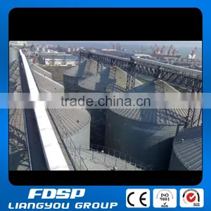 With Lower Price Popular New Condition Galvanized Steel Silo for Grain and Feed Storage thumbnail-1