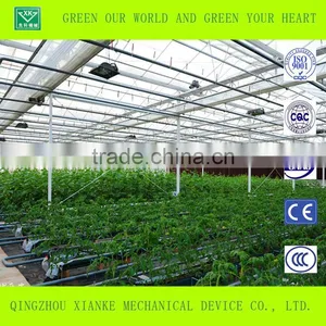 Big Cheep Glass Greenhouse for Seeding thumbnail-5