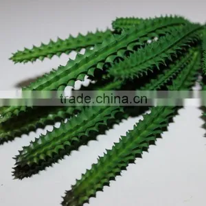 Artificial Succulent Plants Making thumbnail-1