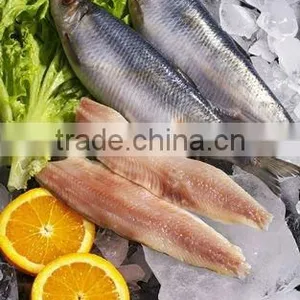 Frozen Fish Herring Fillet Seafood thumbnail-1