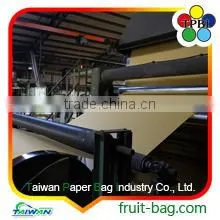 Double Layers Waterproof Mango Cover Cheap Paper Bag thumbnail-4