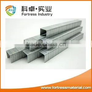 21GA 8004 Staple thumbnail-1