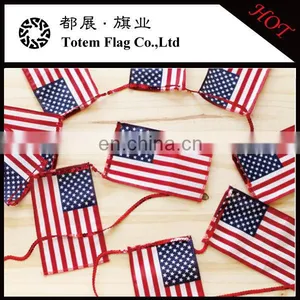 American Bunting String Flag / Bunting String Flag thumbnail-1
