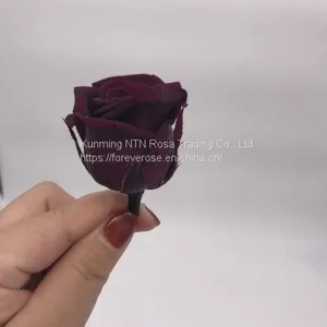 Preserved Rose Flowers for Wedding Decoration Flower Arrangement thumbnail-1