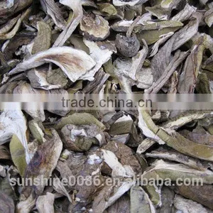 Market Prices For Boletus thumbnail-5