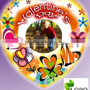 DIY Photo Balloon/Magic Photo Balloon thumbnail-1