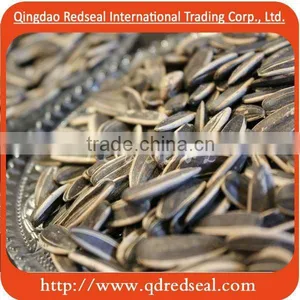 Sunflower Seeds thumbnail-1