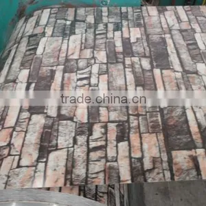 T/T Payment Beautiful Colored Pattern Buildings Constructions PPGI Customized Length Zinc Coated Steel Coils/ Plates thumbnail-4