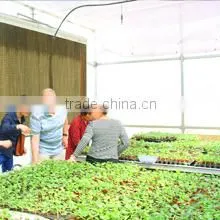 Weishi Huifa Machinery Plant company overview - view 3 thumbnail