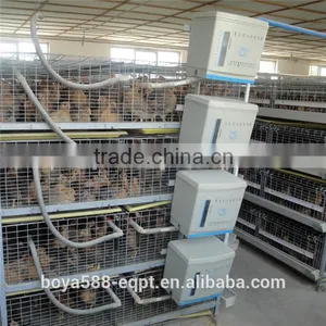 Ladder Type Automatic Pullet Chicken Brooding Cage For Sales For Nigeria Farm thumbnail-2