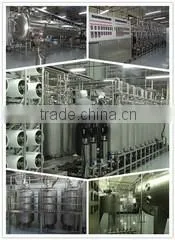 Guangdong Authenmole Biotech Inc. company overview - view 3 thumbnail