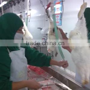 Rabbit Processing Slaughterhouse thumbnail-1