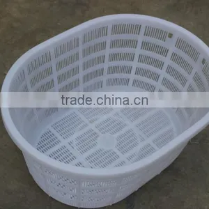 Plastic Oval Basket thumbnail-5
