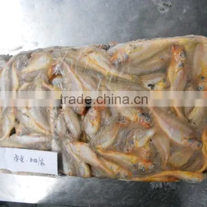 Ship Frozen Small Yellow Croaker for Sale thumbnail-1