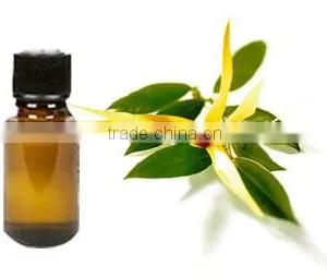 Ylang-Ylang Essential Oil On Best Price From Borg Export India 100% Natural thumbnail-1