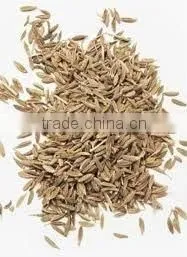 Pure Celery Seed Extract thumbnail-1