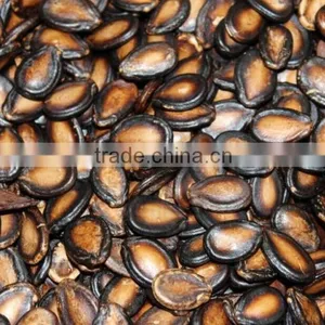 2015new Black Watermelon With Top Quality and Best Price thumbnail-4