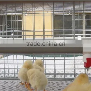Chinese Chicken Coop for Farm Galvanized Face Treatment thumbnail-1