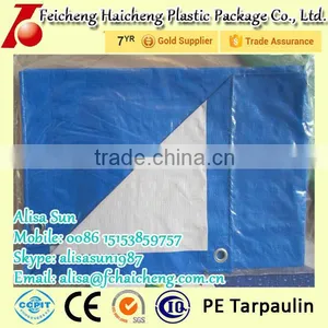 All Kind Of Sunproof Polyethylene Tarpaulin Price thumbnail-2