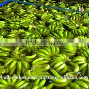 Fresh Cavendish Banana thumbnail-5