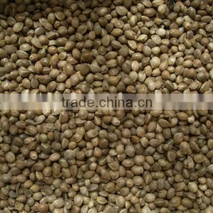 Private Label Organic Hulled Hemp Seed,Hemp Seeds,Shelled Hemp Seeds thumbnail-3