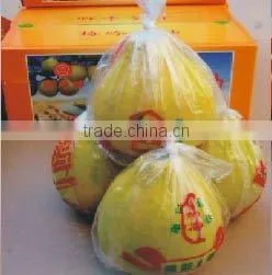 Fresh Pomelo thumbnail-1