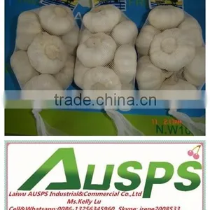 China Fresh Yellow Holland Potato thumbnail-3