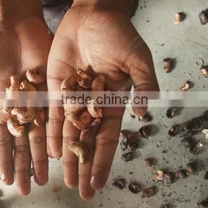 New Professional Designed Cashew Nut Processing Machine Price thumbnail-3