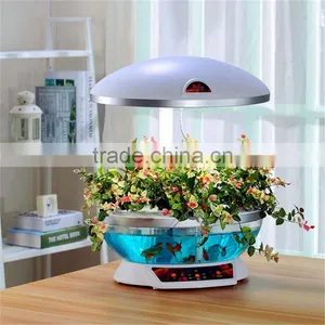 Large Fish Tank Aquarium thumbnail-1