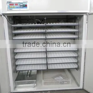 Full Automatic Ostrich Egg Hatching Machine Factory Directly Hatching Machine for Sale thumbnail-3