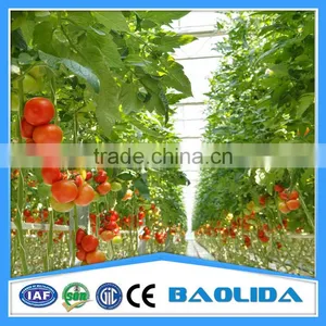 Large Plastic Film Multi-span Greenhouse for Fruits thumbnail-1