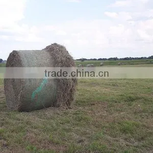 Agriculture High UV Protection Dark Green Silage Bale Net Wrap thumbnail-5