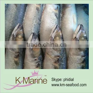 New Processing Mackerel Fish Whole Round Lot Number#kmw4003 thumbnail-1