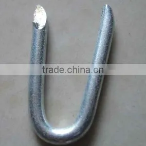 Polished,Galvanized U Type Nails With Factory Price thumbnail-1