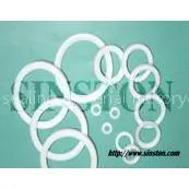 PTFE Gasket thumbnail-1