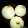Peeled Onions thumbnail-1