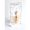 QF Educational Embedded Specimen School Supply Teaching Material - Squid Dissection thumbnail-1
