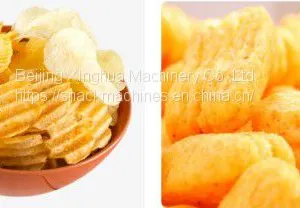 What do You Know About the Characteristics of Snack Food Extruder? thumbnail-1