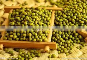 Organic Green Mung Bean thumbnail-2