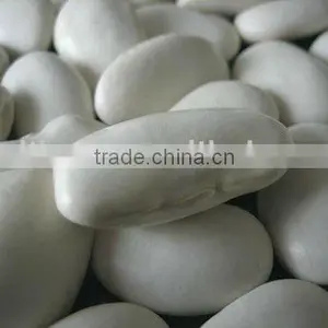 Large White Kidney Beans thumbnail-1