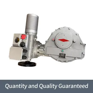 Bernard Intelligent High-power B+RS1000/F105Z Angle Travel Electric Actuator thumbnail-4