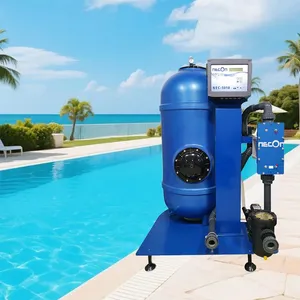 Copper Silver Ion Water Disinfection System, Villa Swimming Pool, Public Swimming Pool, Hot Spring Hotel Water Treatment Equipment thumbnail-1