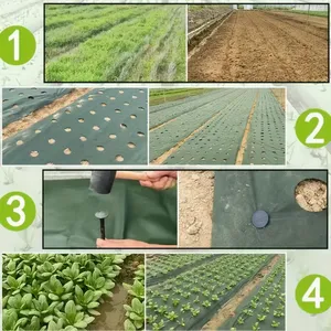 Premium Quality Weed Barrier Fabric for Agriculture and Landscaping Projects thumbnail-3