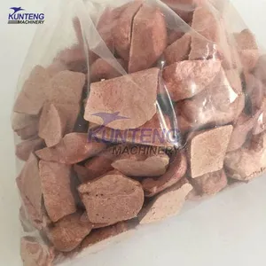 Low Temperature Freezing Pig Kidney Heart Liver Meat Lyophilize Freeze Dryer Dried Food Machine EPC thumbnail-2