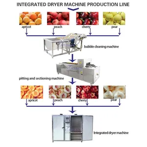 Dehydrated Pineapple Machine Fruit Dryer 220V Electric Heating Constant Temperature Drying Oven EPC thumbnail-5