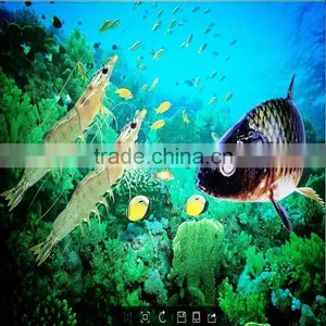 Denitration Product for Fish Pond Water Treatment thumbnail-3