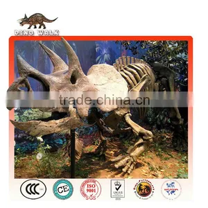 Triceratops Fossil Replica Theme Park Equipment for Sale thumbnail-1