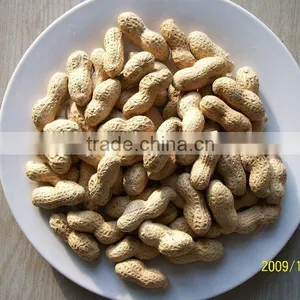 Groundnut Inshell thumbnail-1