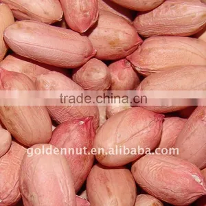 Peanut Kernels thumbnail-1