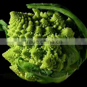 New Crop Frozen Romanesco Broccoli thumbnail-1